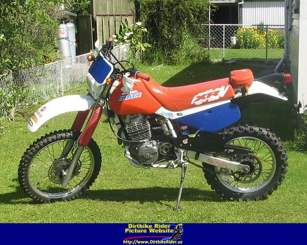 20090125-1548242-1990-Honda-XR600.jpg