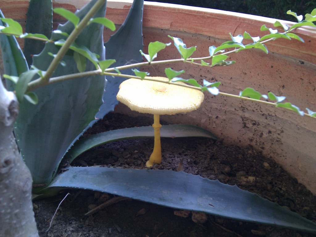 IMG_20110913_080011.jpg