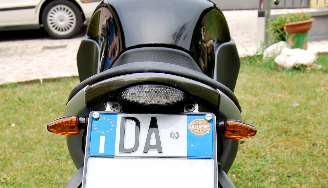 DSC_3492 (Medium).jpg