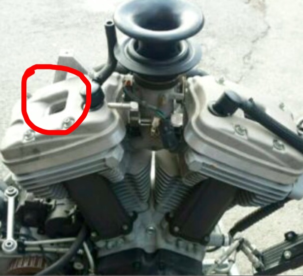 image.jpeg
