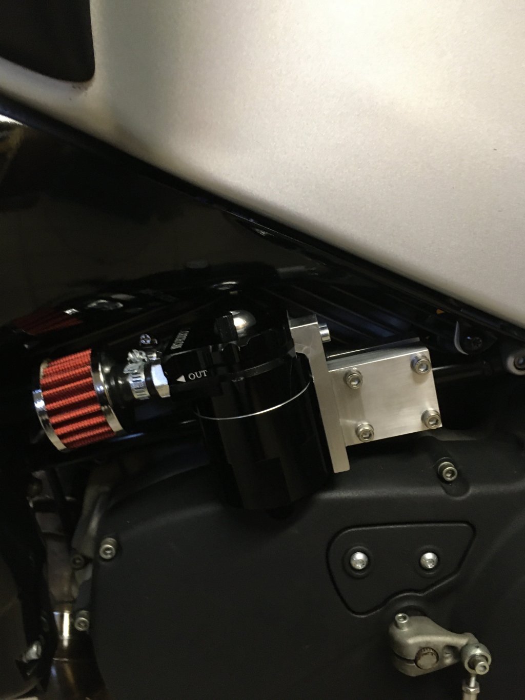 IMG_0945-min (FILEminimizer).jpg