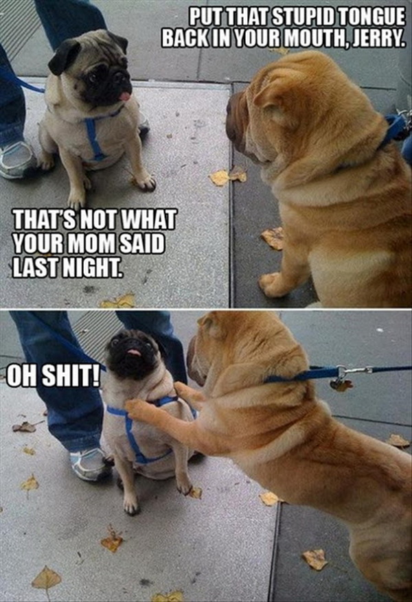 Dog_speaking.jpg