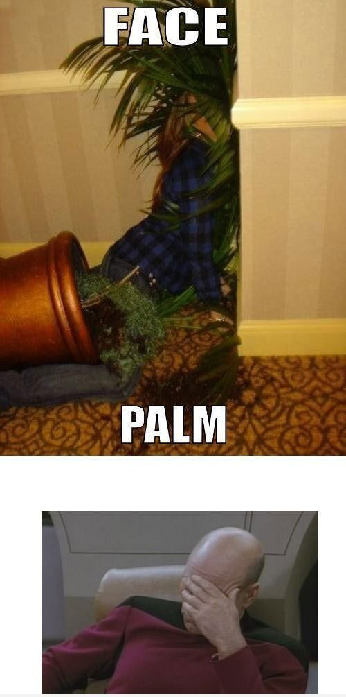 Facepalm_evolution.jpg