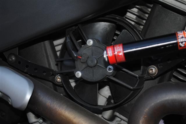 DSC_0417 (Small).JPG