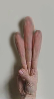 image_mini.jpeg