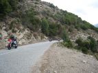 Che grinta! Veloci come dei leprotti armeni