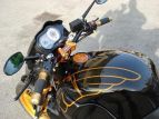 Un fantastico pegaso verniciato su airbox e telaio, manopole Rizoma