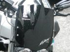 Adesivi personalizzati e paraserbatoio Buell