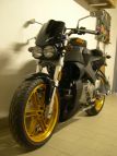 Radiatore olio Road Racing e paraforcellone posteriore.