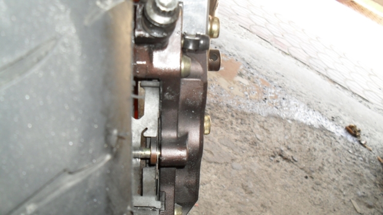 SDC10005.JPG