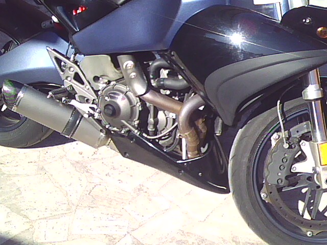IMG0226A.jpg
