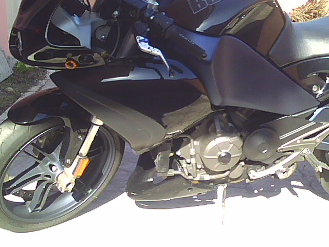 IMG0231A.jpg