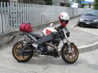 La Buell di Buellone