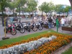 Un po di Buell in posa tra i fiori