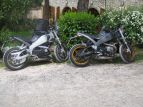 Sorelline al ristorante.