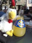 Il Primario ha brindato con l'Orangina