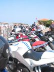 Buell che stringono amicizia
