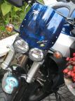 Delle Buell