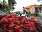 Dai fiori nascono le Buell!